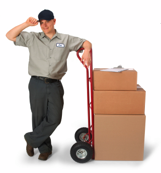 How to Find Top-Notch Commercial Moving Companies Near Tampa