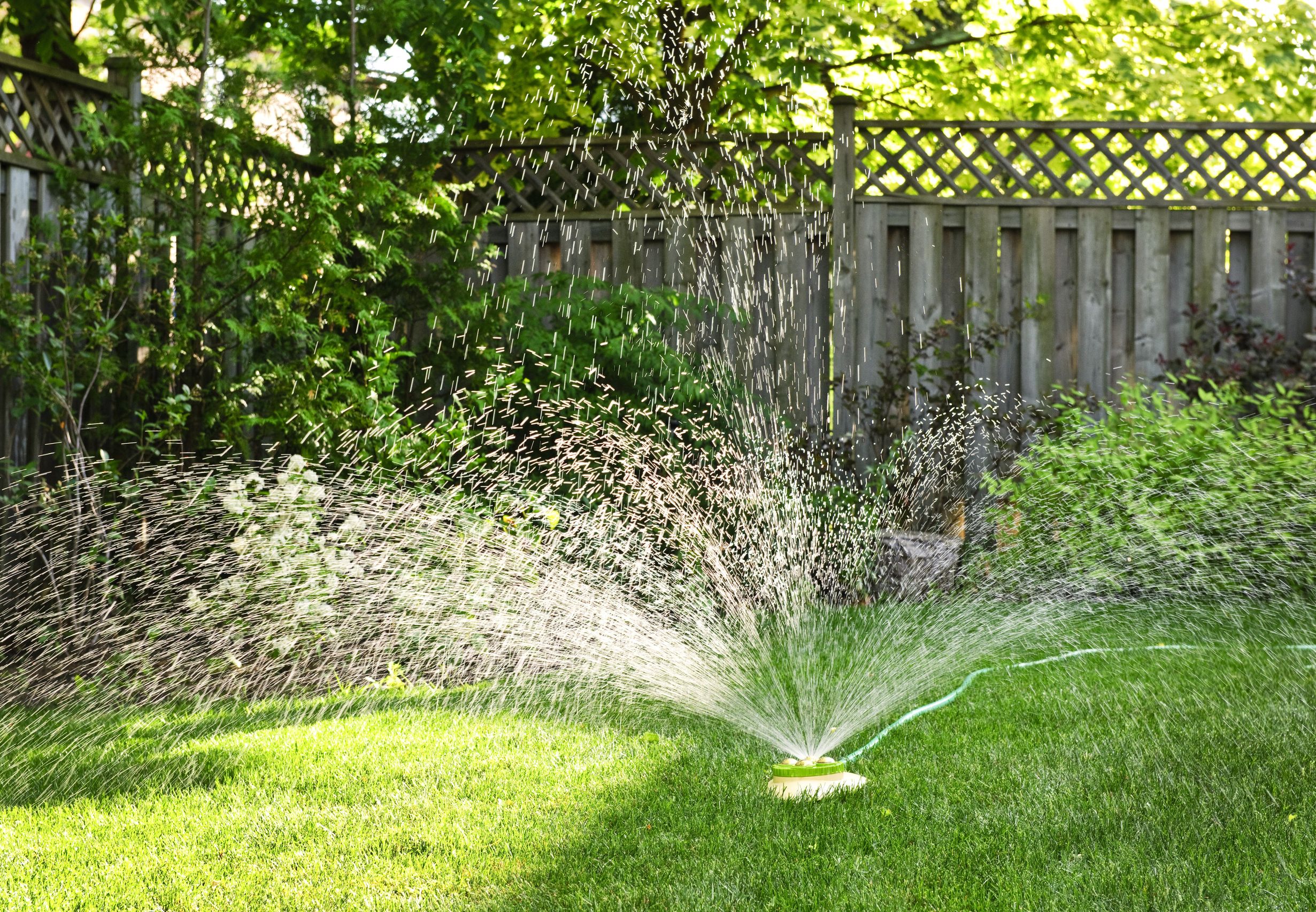 Expert Lawn Care Maintenance In Charlotte, NC, Requires The Pros