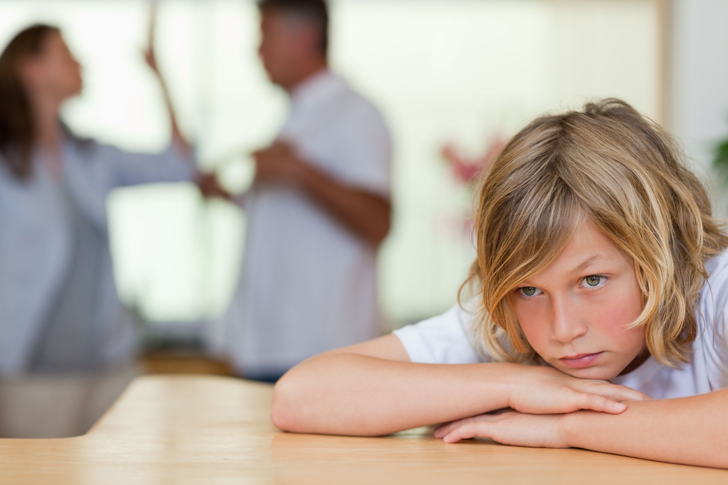 Why You Need a Child Custody Attorney ?