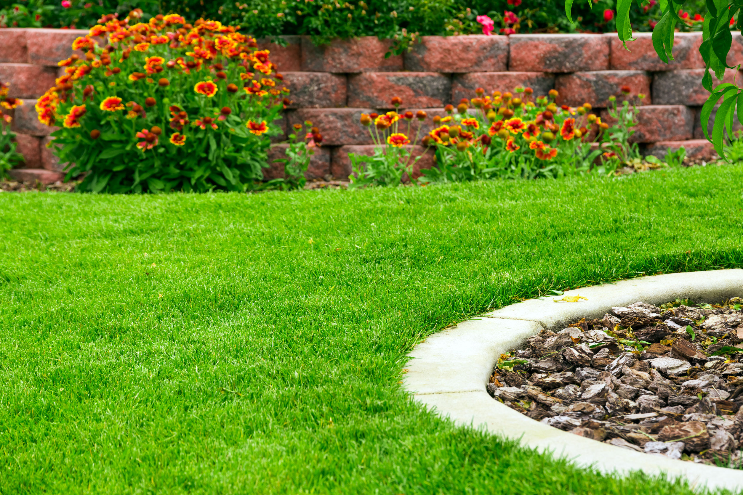 Unleash Your Inner Golfer: The Benefits of Artificial Putting Green in Atlanta, GA, For Homeowners Looking To Enhance Their Outdoor Living