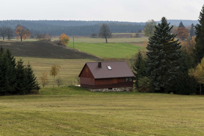 Tips For Planning A Group Pheasant Hunting Trip