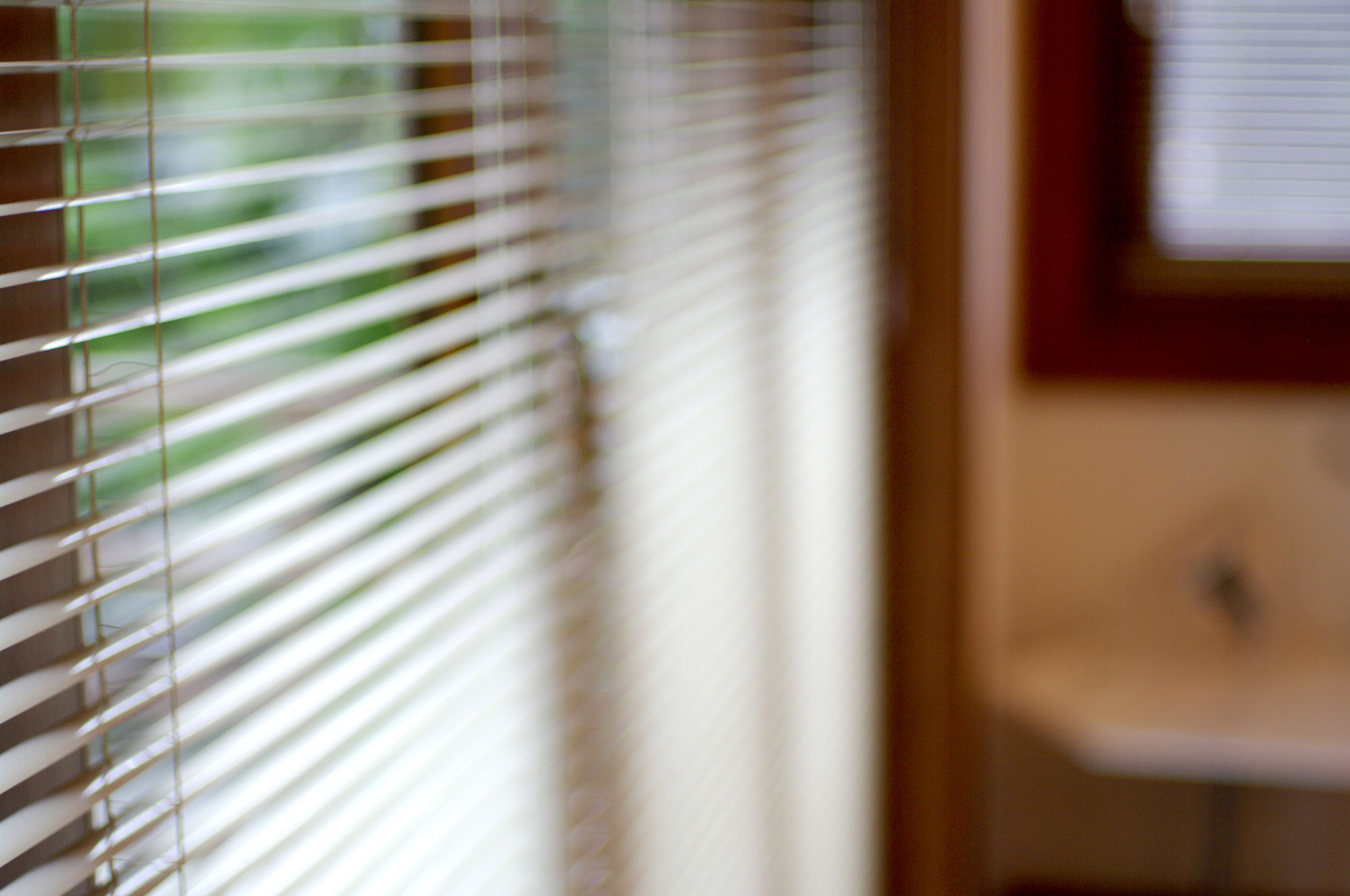 Why You Should Consider Motorized Blinds in Wesley Chapel FL