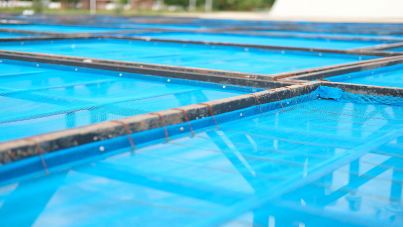 Essential Guide to Pool Cage Screen Replacement in Fort Myers, FL