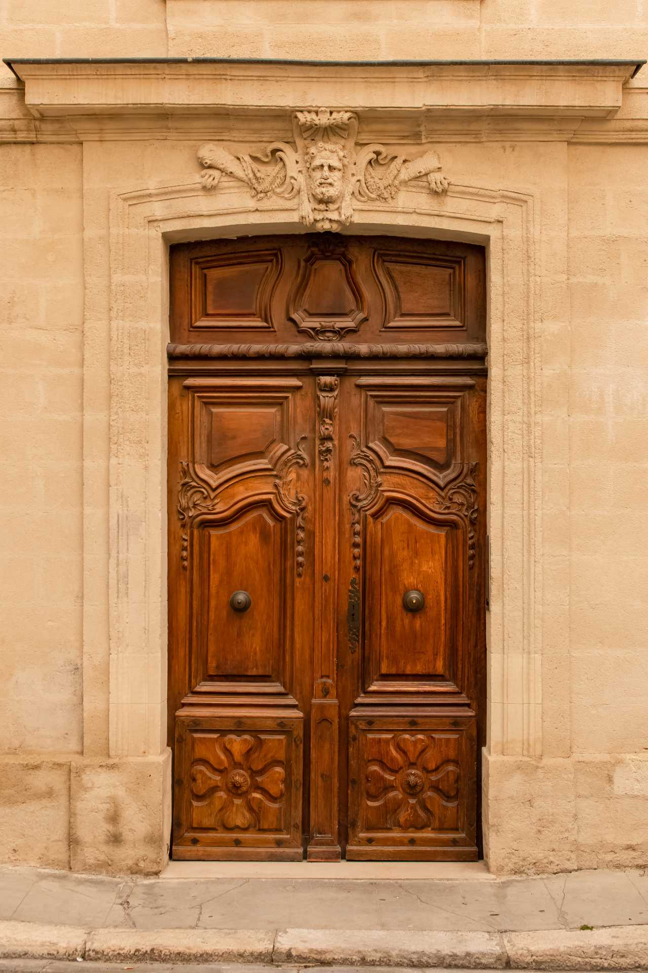 Options in Wooden Exterior Doors