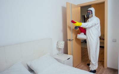 Enlist The Help of a Lauded Exterminator in Newnan, GA