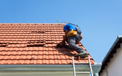 Protect Your Roof: Tips from Residential Roofers in Plano, TX