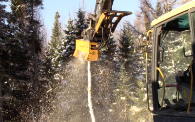 Instances That Could Benefit From Using an Excavator Brush Cutter