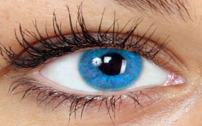 Diabetic Retinopathy in Delray Beach, FL by an Established Expert