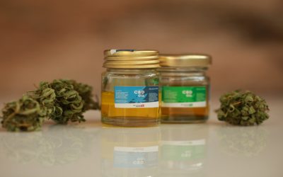 The Evolution and Opportunities in the Cannabis Industry