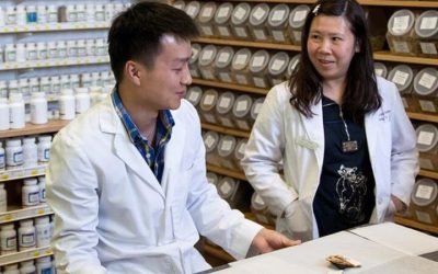 The Chinese Medicine Doctorate Program: A Path to Expertise and Healing