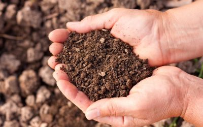 Top Soil Supply in Aubrey, TX: Enhance Your Garden and Landscaping Projects