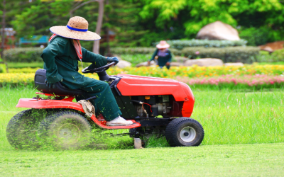 Expert Mosquito and Tick Control Near Haymarket VA: Safe Solutions