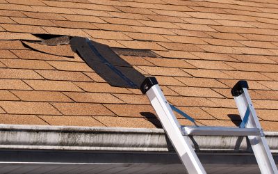 Weather-Resistant Roofing Services in Jasper, IN for Long-Lasting Protection