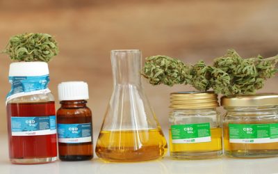 The Ultimate Guide to CBD Honey: Uses, Benefits, and More