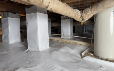 Step-by-Step Guide: How To Get Rid Of Mold In My Crawl Space